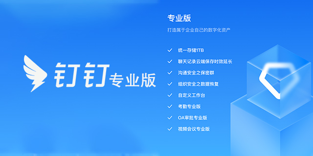 釘釘專(zhuān)業(yè)版